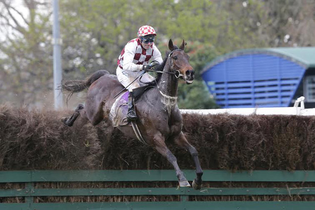 Amanood Lad winning the Meadow Fresh Grt Northern Stpl