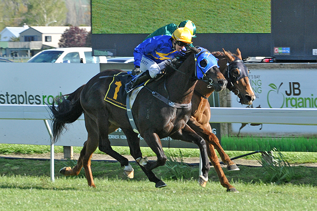 ANTONIO LOMBARDO winning Linwood Park G R Kelt Memorial