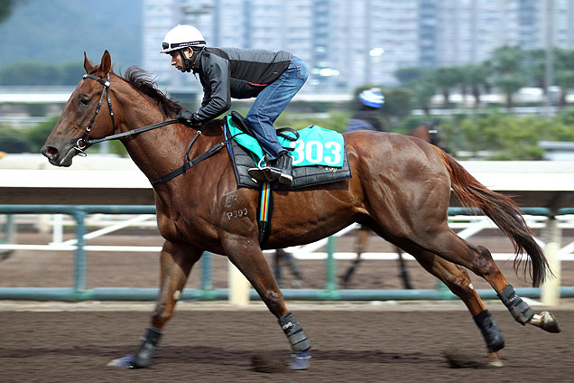 Able Friend with Joao Moreira on board at track work for Longines Hong Kong Mile.