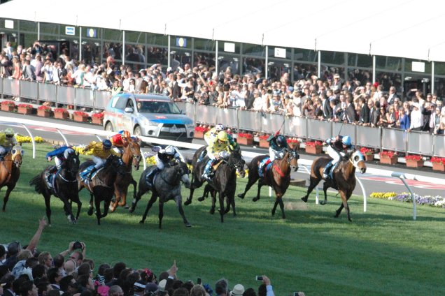 Adelaide claims the lead in 2014 Cox Plate