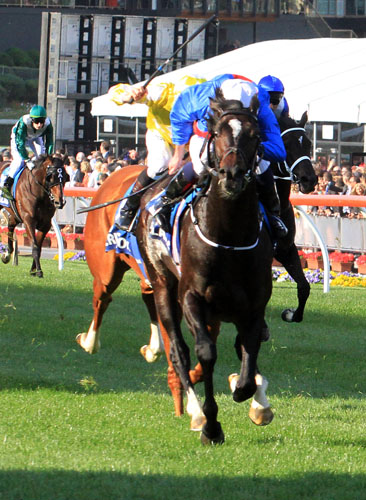 Adelaide winning the Sportingbet W.S. Cox Plate