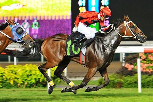 Adrenaline (Zulkifli Zuriman) claims victory in Race 8 on Friday night.