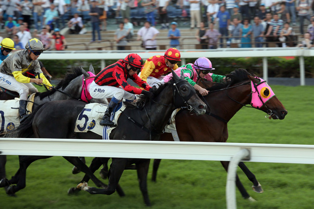 Aerovelocity winning the THE SHA TIN VASE