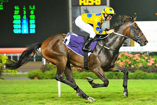 Affleck winning the Premier Racing Patnership Stakes open