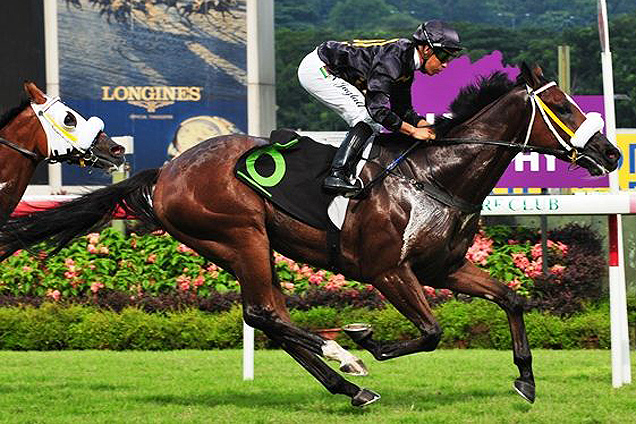 Alexandra Palace (Nooresh Juglall) faces his second Kranji assignment this Friday in an Open Benchmark 89 race over 1400m.