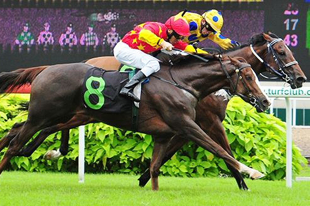 Alfonso (Saifudin Ismail, left) powers home to win Race 9 ahead of Quechua (Nooresh Juglall) on Sunday.