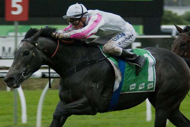 Arabian Gold winning the Adrian Knox Stakes