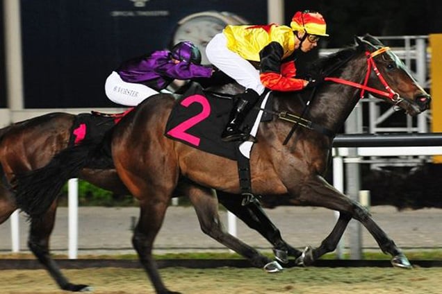 Ivaldo Santana keeps up the winning habit aboard Astrostar (outside) as the pair take out Race 5 on Friday.