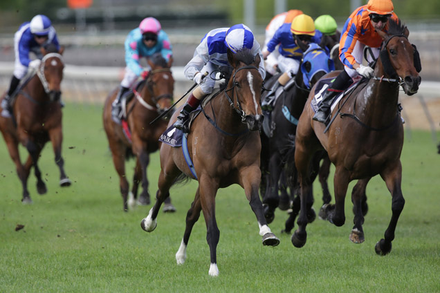 Atacama winning the Team Wealleans Matamata Cup