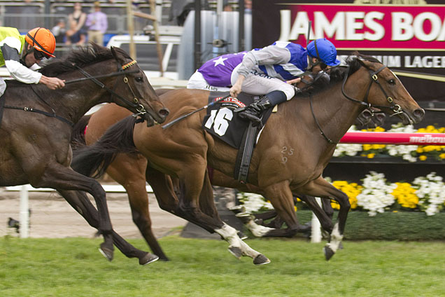 Atacama winning the James Boag's Premium Stakes