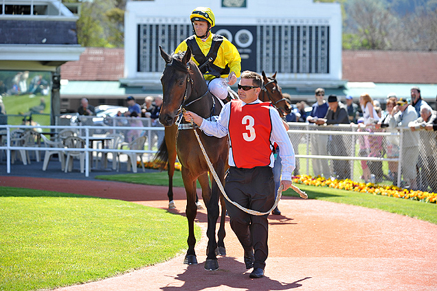 Battle Plan parading on 25 Oct, 2014