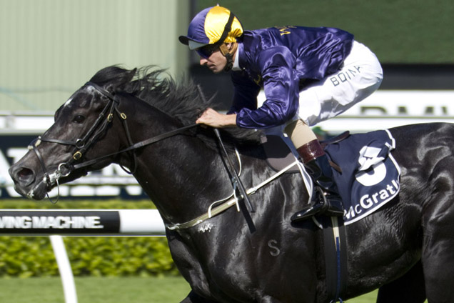 Beauty's Beast Heads For Hawkesbury Guineas On Saturday