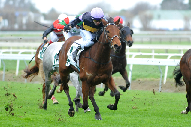 Bel Sorriso winning the Manawatu Office Products Hcp