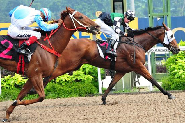 Best Tothelign looks well placed at Kranji this evening.