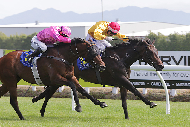 Bohemian Lily winning the Fairview Ford Cambridge Mdn.