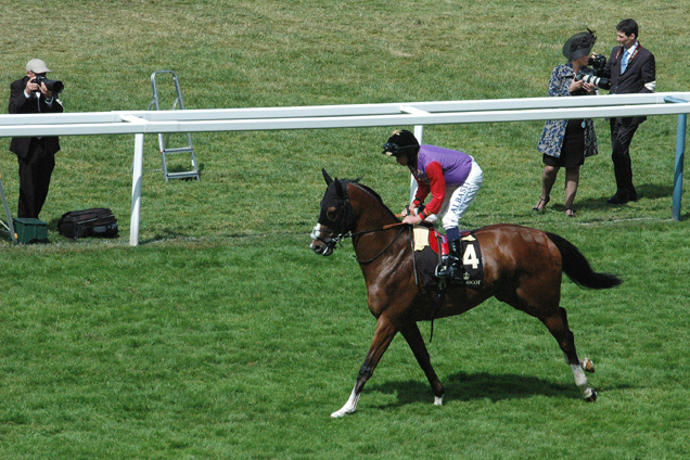 Bold Sniper running in the Wolferton Handicap (Listed)