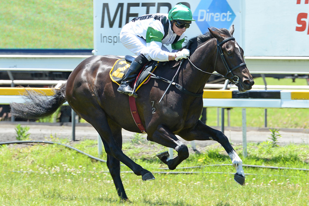 Boodles winning the Dave & Eddie Mdn