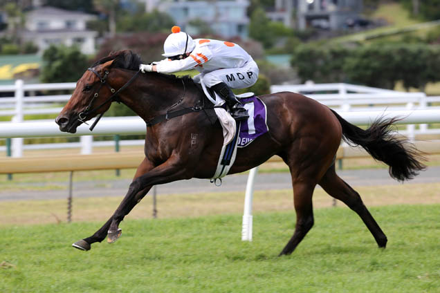 Bounding running in the Arrowfield Royal Sovereign Stk