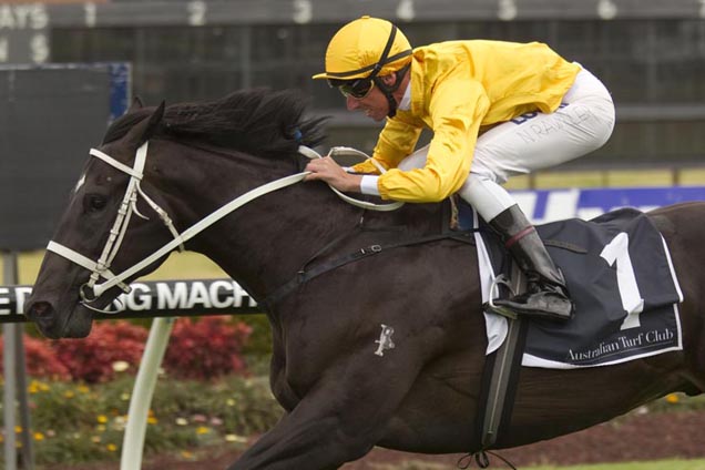 Brazen Beau looks to add the Sires to his list of wins