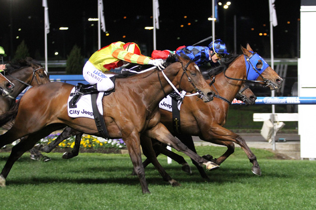 Buffering winning the City Jeep A.J. Moir Stakes