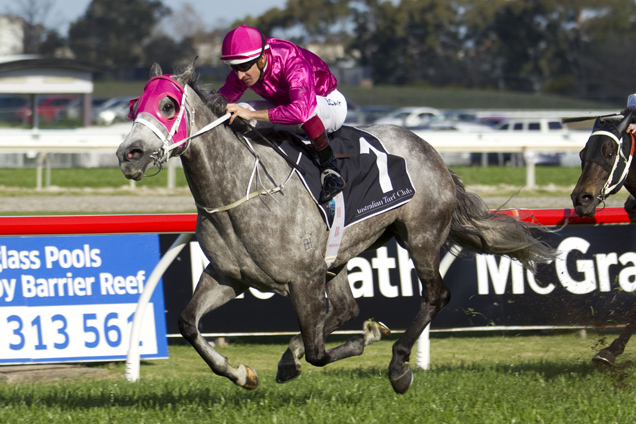 Catkins winning the Sheraco Stakes