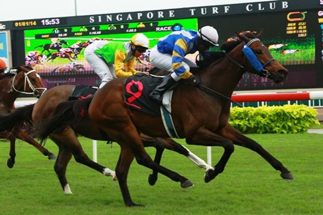 Jockey John Sundradas brings Cavallo with a well-timed run to land Race 7 on Wednesday.