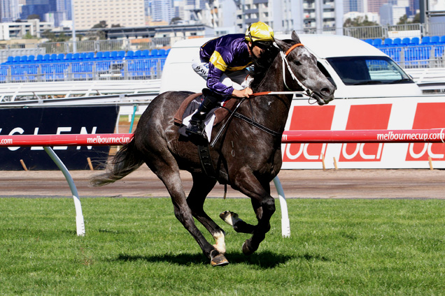 Chautauqua loves the Flemington straight