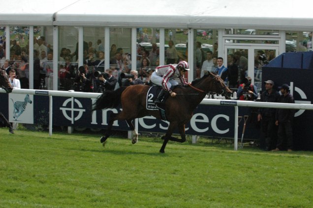 Cirrus Des Aigles