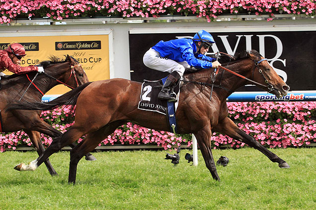 Contributer winning the David Jones Cup