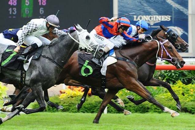 Cordoba (Alan Munro) gets the nod in a blanket finish from Indicio (Lisa Allpress, blue cap) and Captivate (Manoel Nunes) in white blinkers.