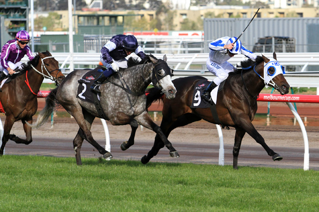 Dissident Fights Back And Beats Fawkner