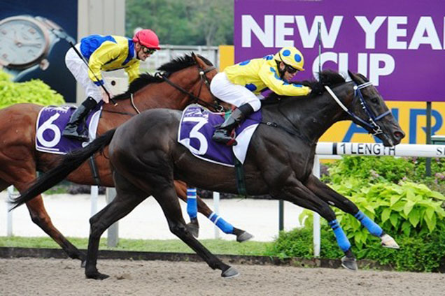 Manoel Nunes guides Dujardin to victory over Goliath (Corey Brown) in the first feature event of 2014 - the Group 3 New Year Cup.