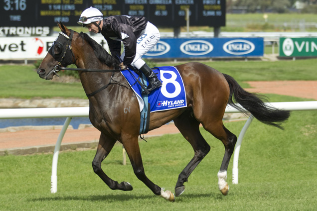 Ecuador running in the Hyland Race Colours Ajax Stks Ecuador running in the Hyland Race Colours Ajax Stks