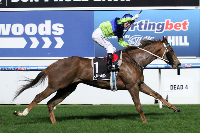 Eloping winning the Blackwoods Champagne Stakes