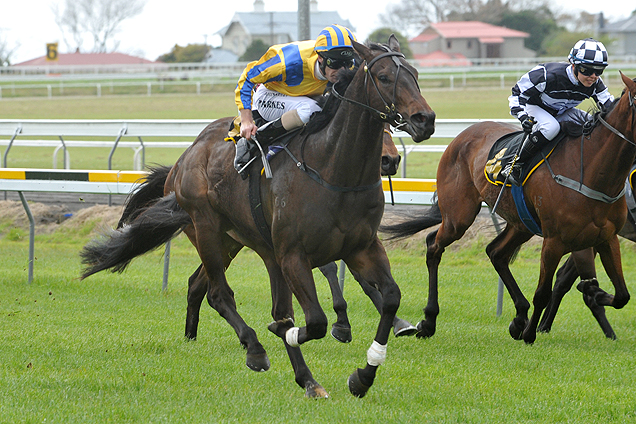 Elvis winning the Juffermans Surveyors Spec Cond.