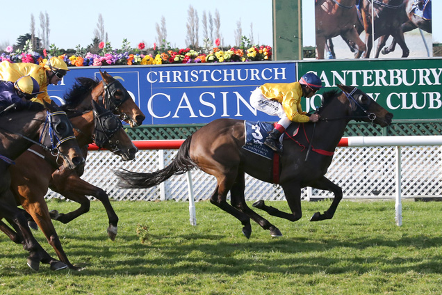 Emerald Queen winning the Echoes Of Heaven Hcp.