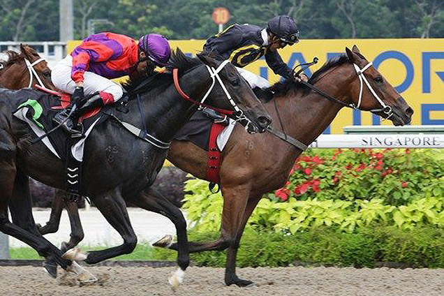 Nooresh Juglall pulls out all the stops to get Emperor's Banquet home ahead of Cheetah On Fire (David Flores).