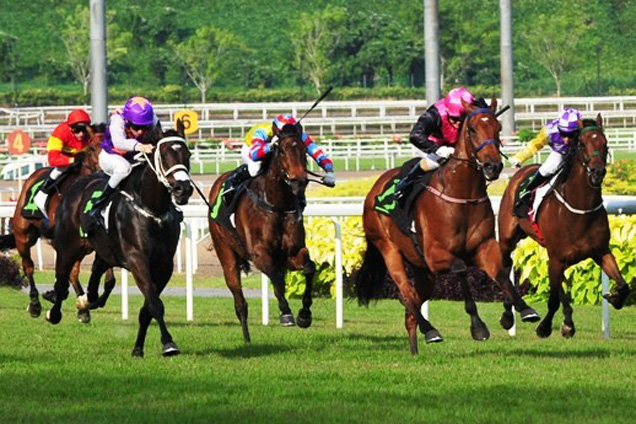 Emperor Max races away to his fifth win from as many starts at Kranji. War Affair (White sleeves) runs on to finish second.