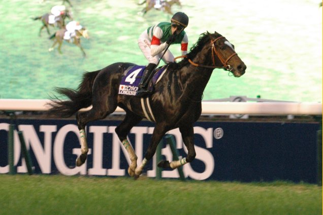 Epiphaneia winning the 2014 Japan Cup.