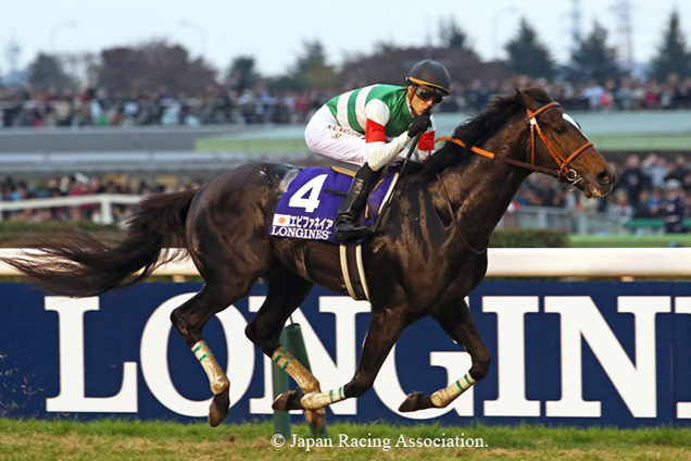 Epiphaneia winning the THE JAPAN CUP(G1)