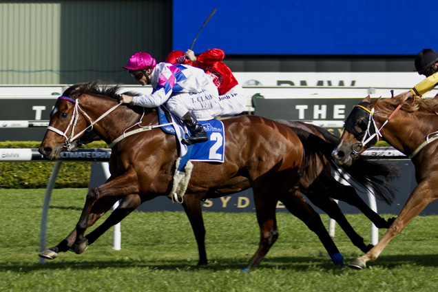 Famous Seamus winning the Bloodstock.Com.Au Premiere