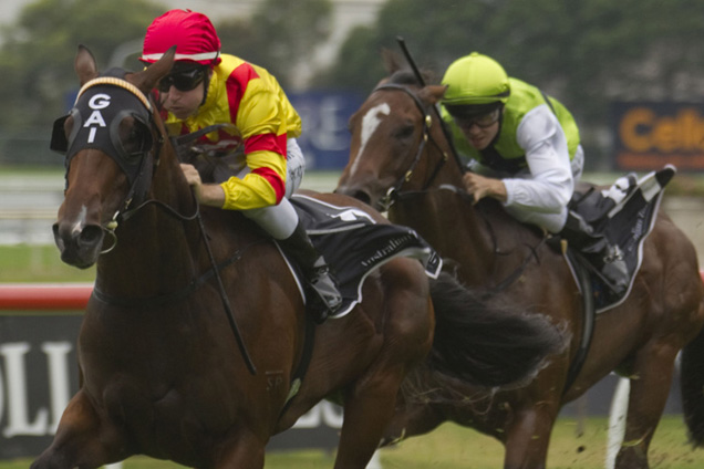 Fighting Sun winning the Canonbury Stakes