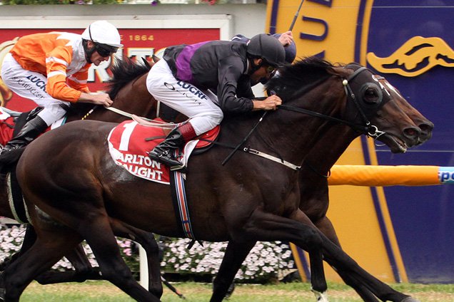 Fiorente winning the Peter Young