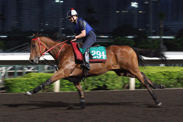 Flame Hero at trackwork.