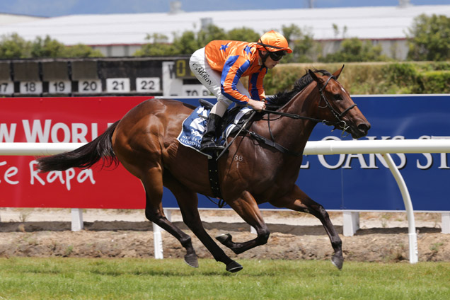 Flaming winning the Nzb Insurance Pearl Series Hcp