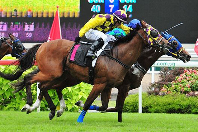 Gold Rutile (Alan Munro) on the inside holds on by a nose from Wild Geese (Manoel Nunes).