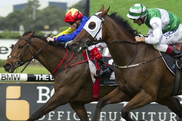 Gordon Lord Byron (inside winning the George Ryder Stks) takes on the Diamond Jubilee