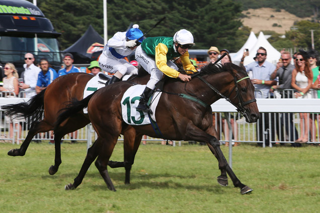 Graphic winning the Wellington Cup