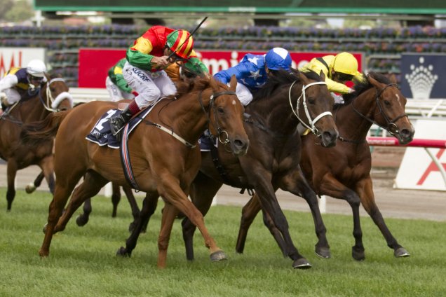 Happy Trails winning the Longines Mackinnon Stakes