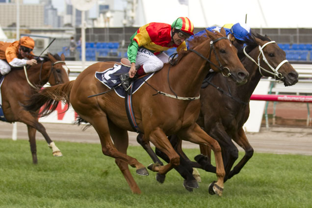 Happy Trails winning the Longines Mackinnon Stakes